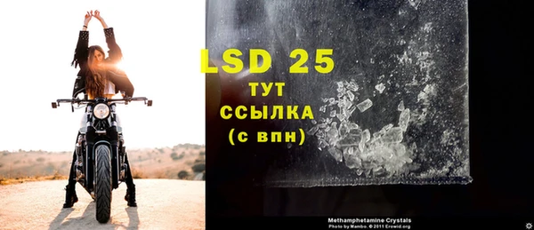 гидра Белокуриха