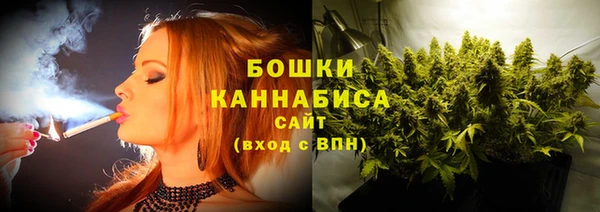 гидра Белокуриха