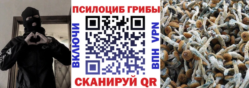 kraken ССЫЛКА  Нерчинск  Галлюциногенные грибы Cubensis 